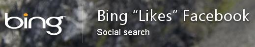 Bing Likes Facebook