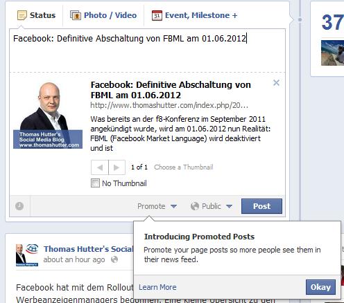 "promote"-Schaltfläche in der englischen Version von Facebook im Publisher der Facebook Seite