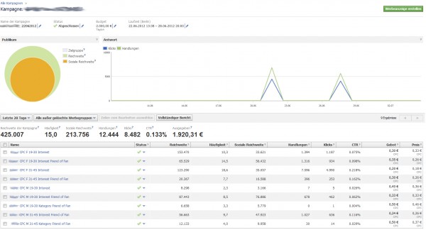 Facebook Ad Manager - Analyse