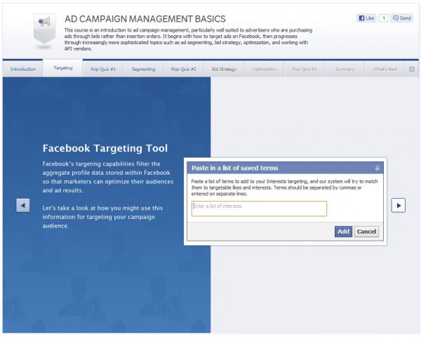Ad Campaign Management Basics - Targeting