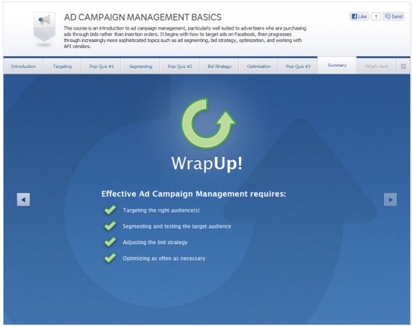Ad Campaign Management Basics - Summary